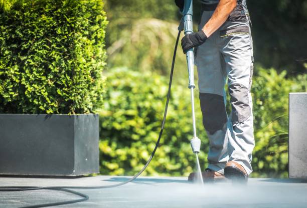 Best Pre-Holiday Cleaning  in Osceola, WI