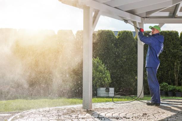 Best Graffiti Removal  in Osceola, WI
